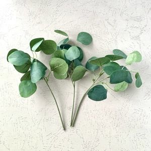 Eucalyptus Pick for Photography - Artificial - Set of 3